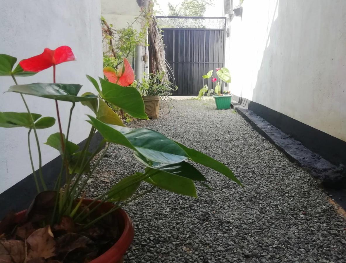 Hotel New Coral Garden Weligama Zewnętrze zdjęcie